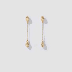 Double Stones Earrings