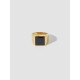 Chic Signet Ring Chic Signet Ring