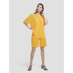 Pleated Chiffon T-shirt & Shorts Set
