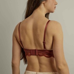 Floral Axis Lace Demi Bra Set