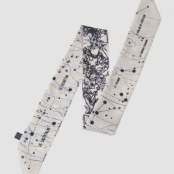 English Garden Skinny Silk Scarf