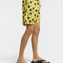 Coconut Tree Beach Shorts