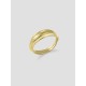 Dual Ring Dual Ring
