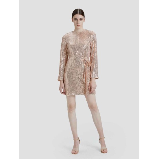 Sequin Mini Dress Sequin Mini Dress