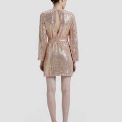 Sequin Mini Dress
